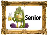 senior